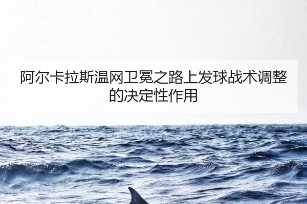 a-er-ka-la-si-wen-wang-wei-mian-zhi-lu-shang-fa-qiu-zhan-shu-tiao-zheng-de-jue-ding-xing-zuo-yong-3-575.jpg