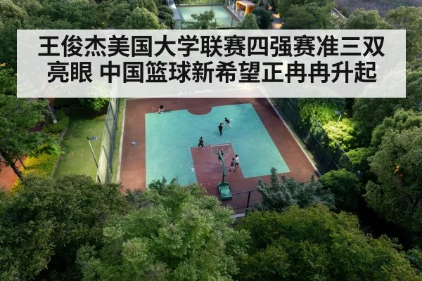 chinese basketball player