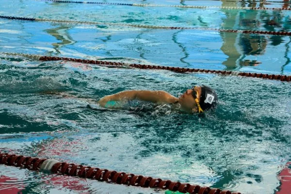 swimmer freestyle stroke